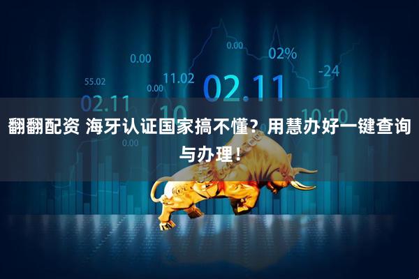 翻翻配资 海牙认证国家搞不懂？用慧办好一键查询与办理！