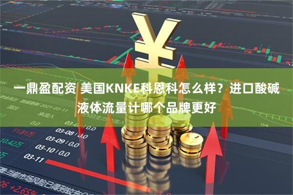 一鼎盈配资 美国KNKE科恩科怎么样？进口酸碱液体流量计哪个品牌更好