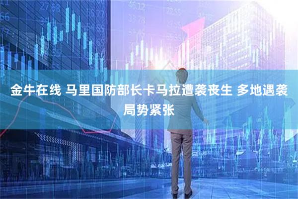 金牛在线 马里国防部长卡马拉遭袭丧生 多地遇袭局势紧张